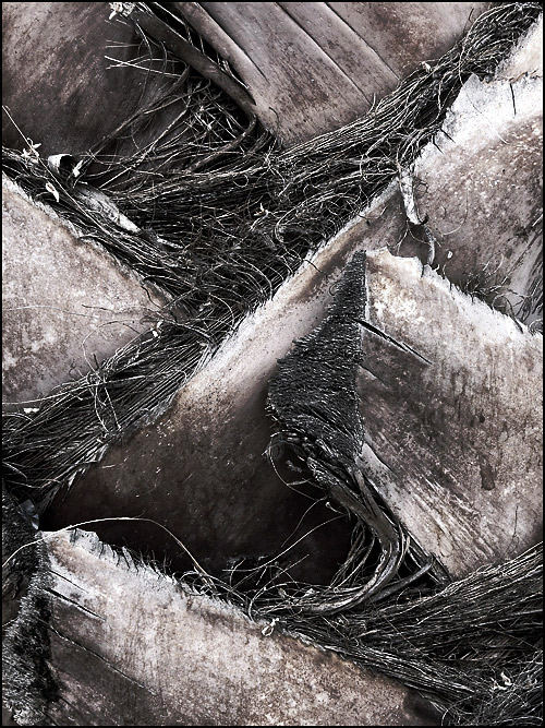 Fotografie von droomluiperd für DesignCrowd (Community Contests) | Design #9032614