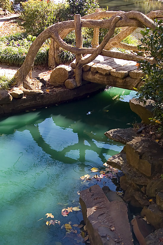 Photographie par burns529 pour DesignCrowd (Community Contests) | Design #9030260