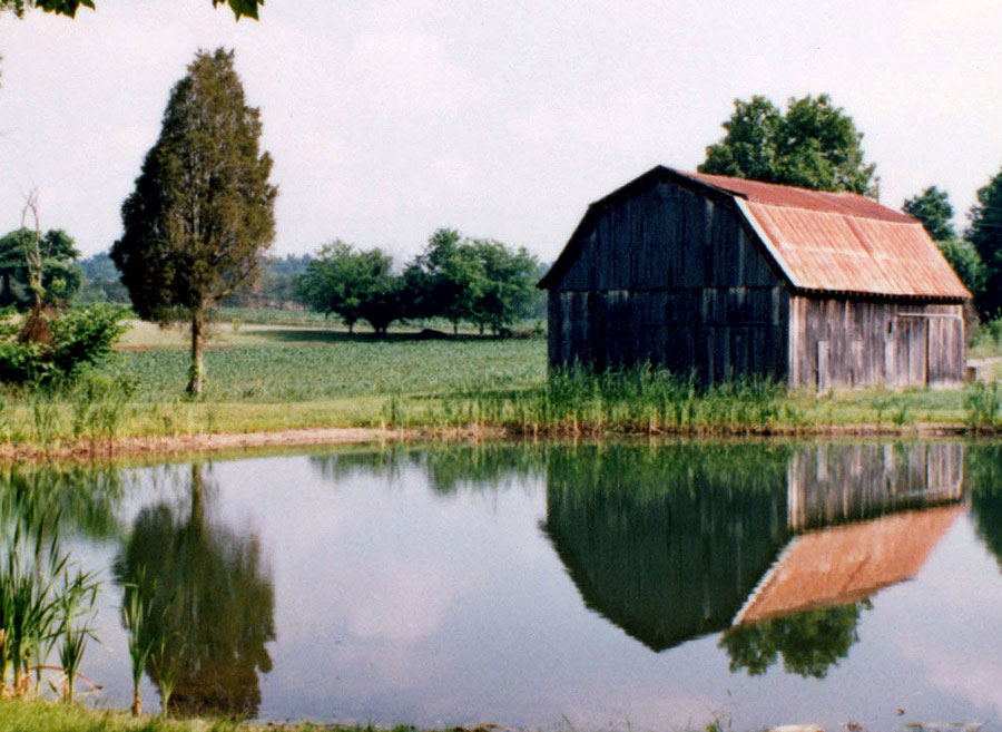 Photography by DebCam for DesignCrowd (Community Contests) | Design #9030249