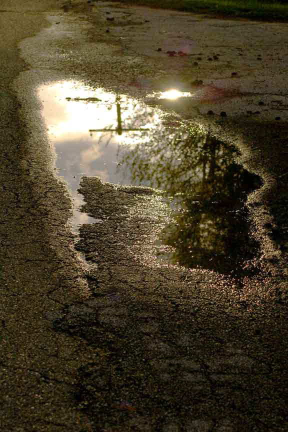 Fotografía por arttrainer para DesignCrowd (Community Contests) | Diseño #9030141