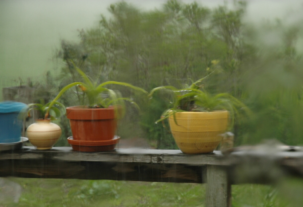 Photography by Larvice for DesignCrowd (Community Contests) | Design #9030000