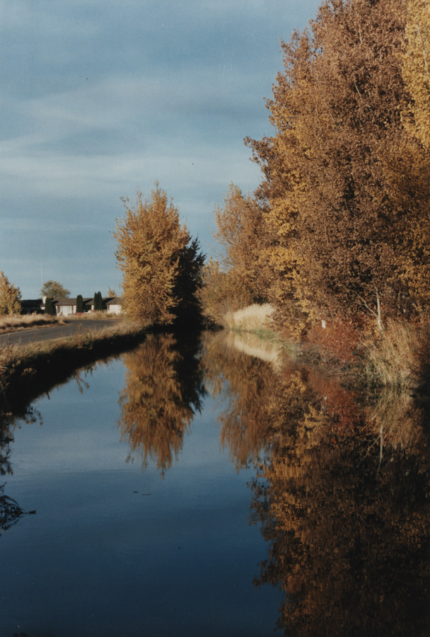 Photography by georgethedog for DesignCrowd (Community Contests) | Design #9030194