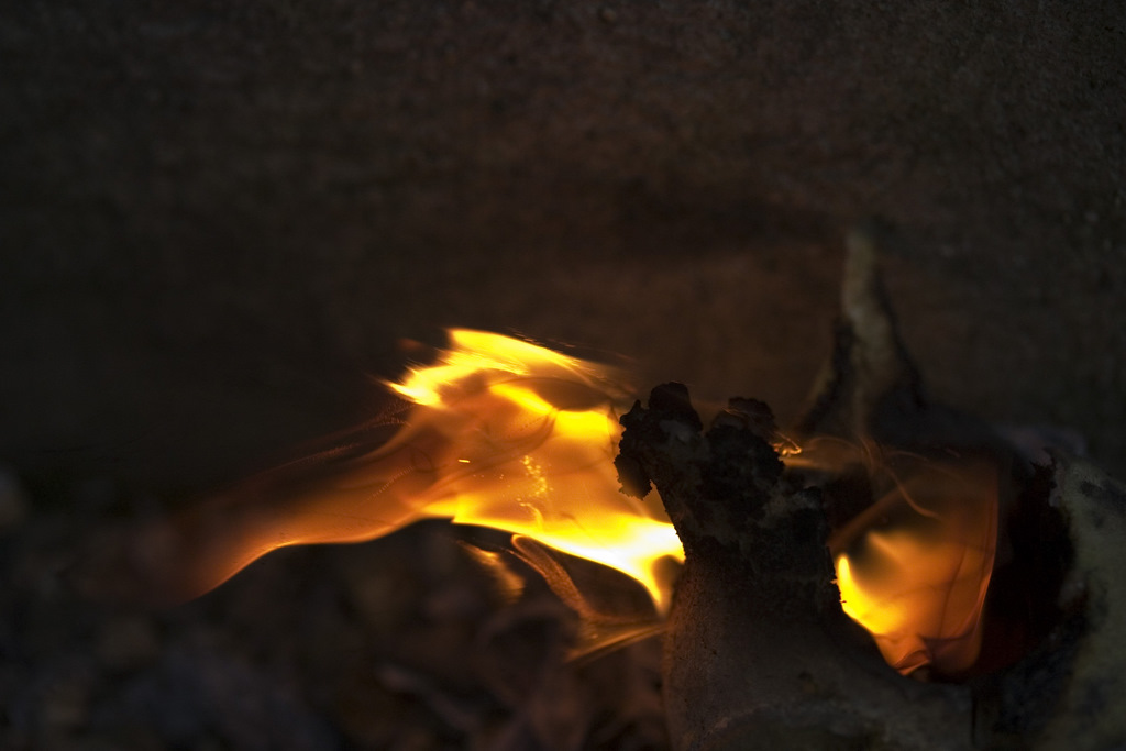 Photography by barnesandnoble for DesignCrowd (Community Contests) | Design #9029143