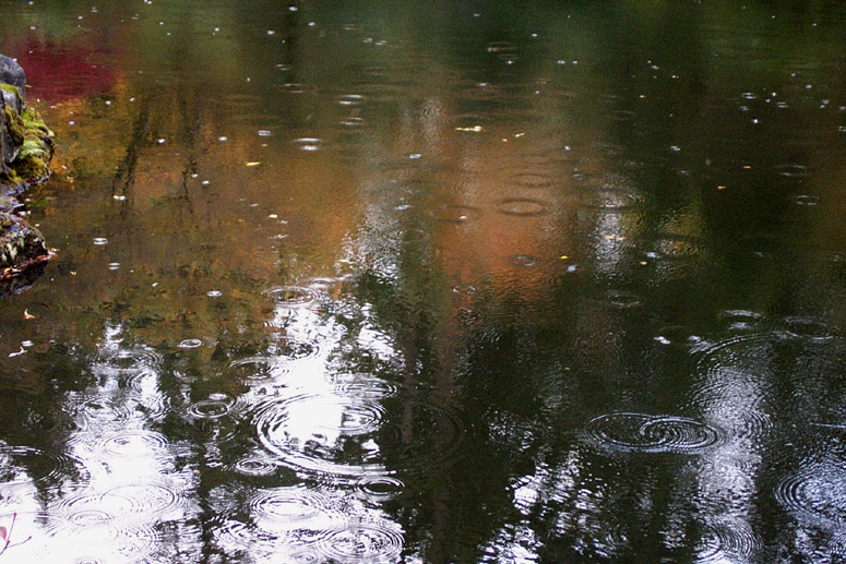 Photography by phreakgirl for DesignCrowd (Community Contests) | Design #9030030