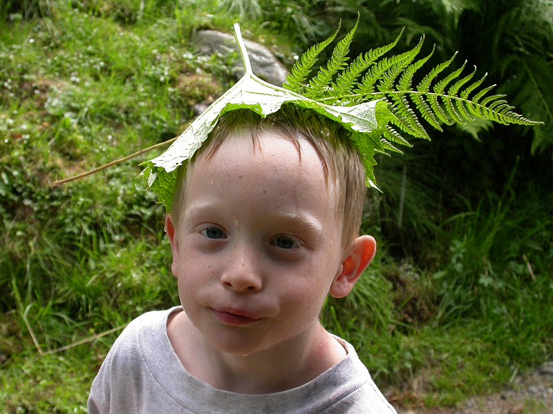 Photography by Sapperlott for DesignCrowd (Community Contests) | Design #9029934