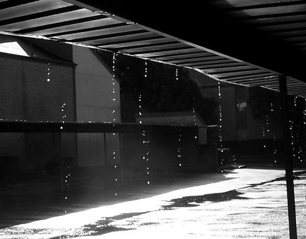 Photography by birdbluff for DesignCrowd (Community Contests) | Design #9029956