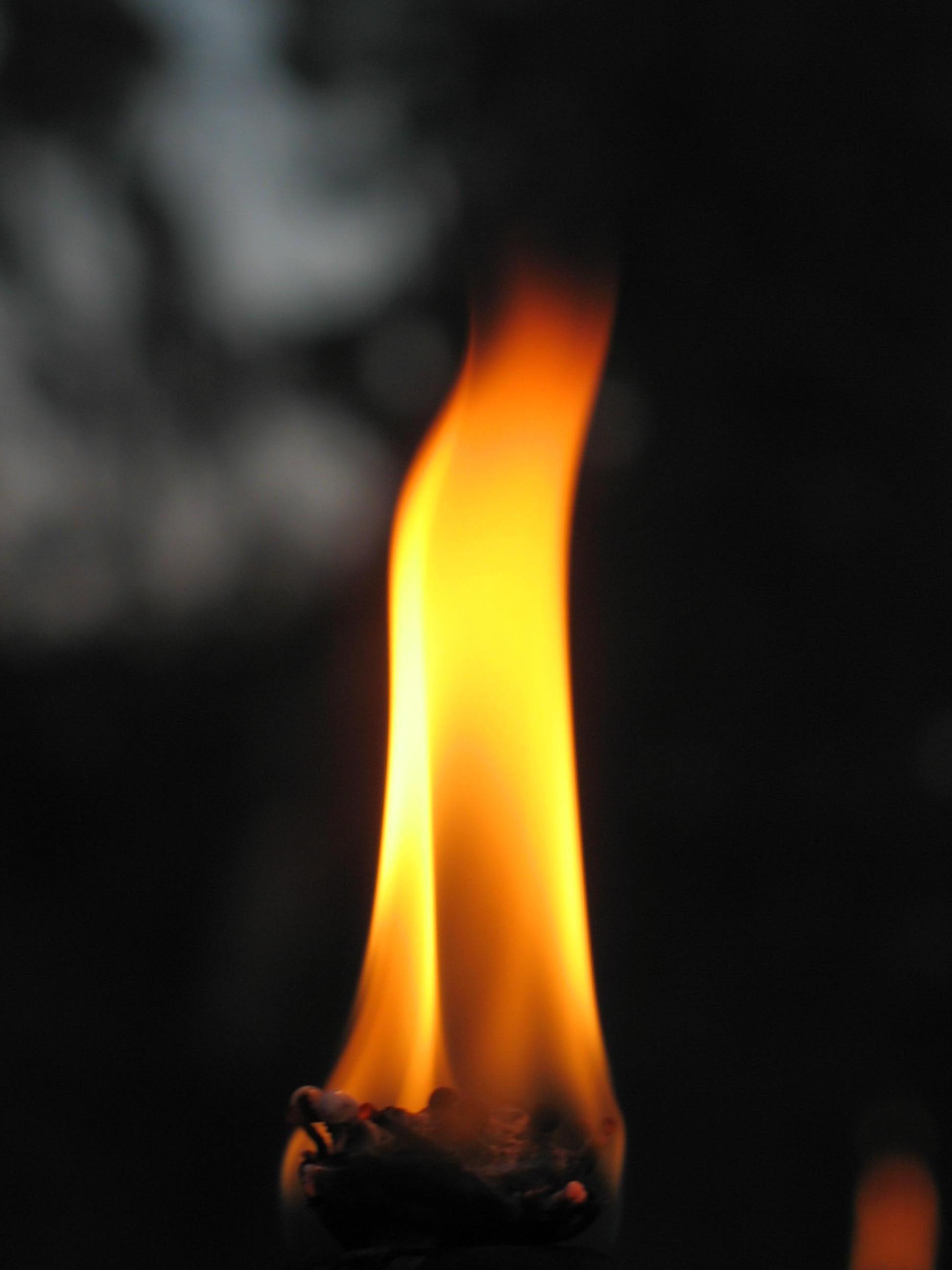 Photography by Larah McElroy for DesignCrowd (Community Contests) | Design #9029144