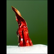 Photography by rjalex