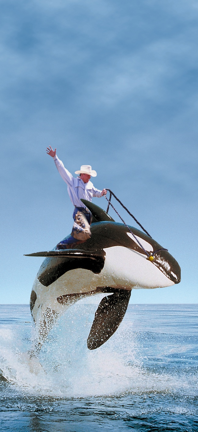 Photoshop Design by vytcheslav for DesignCrowd (Community Contests) | Design #9023407