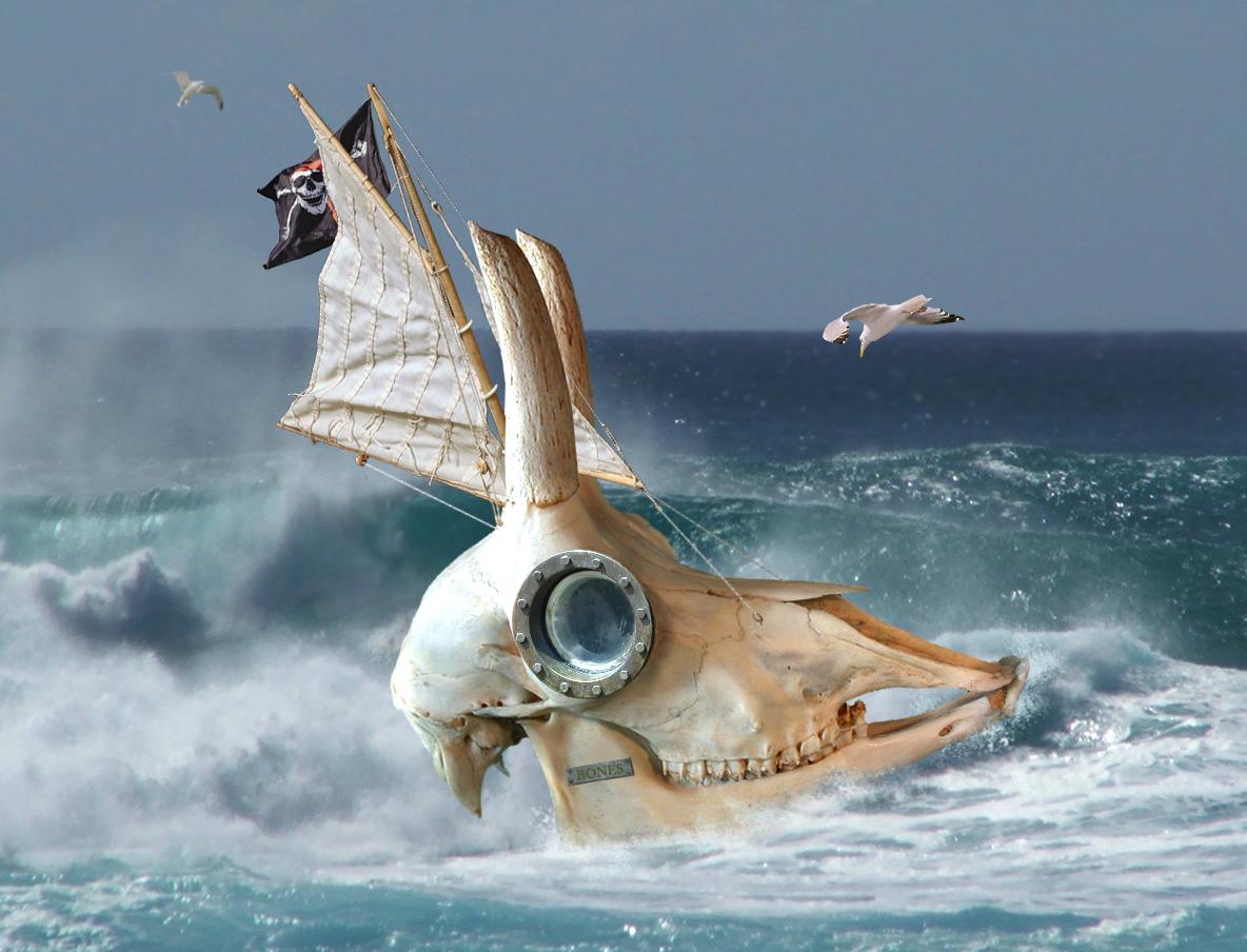 Photoshop Design by sugarcane for DesignCrowd (Community Contests) | Design #9023429