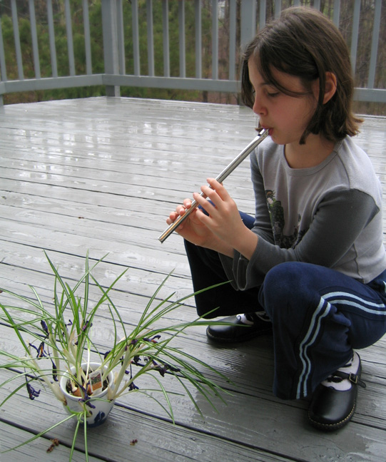 Photography by Netali for DesignCrowd (Community Contests) | Design #9029938