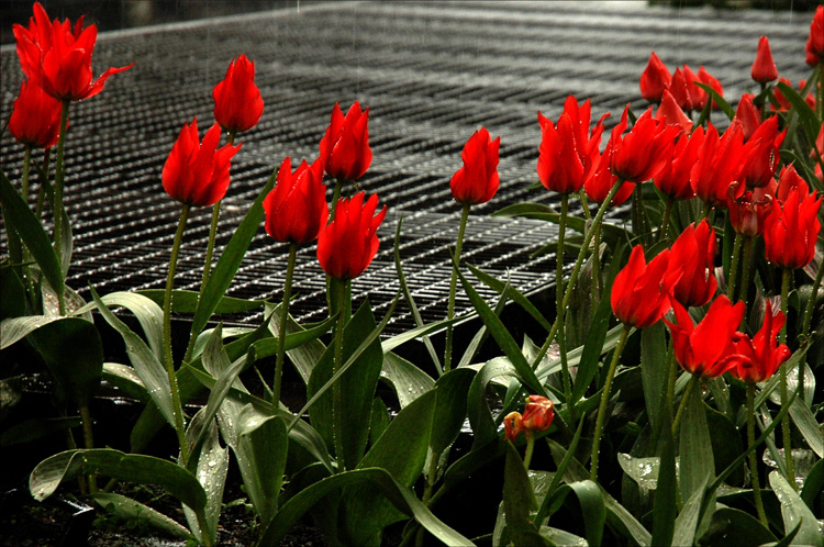 Photography by Choane for DesignCrowd (Community Contests) | Design #9030057