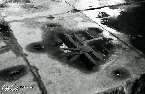 Photography by lillepetite for DesignCrowd (Community Contests) | Design #9032724