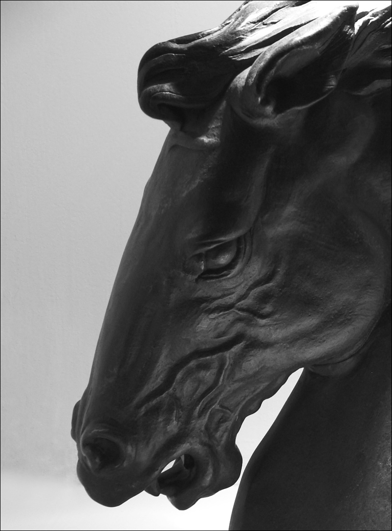 Photography by kimbomac for DesignCrowd (Community Contests) | Design #9032711