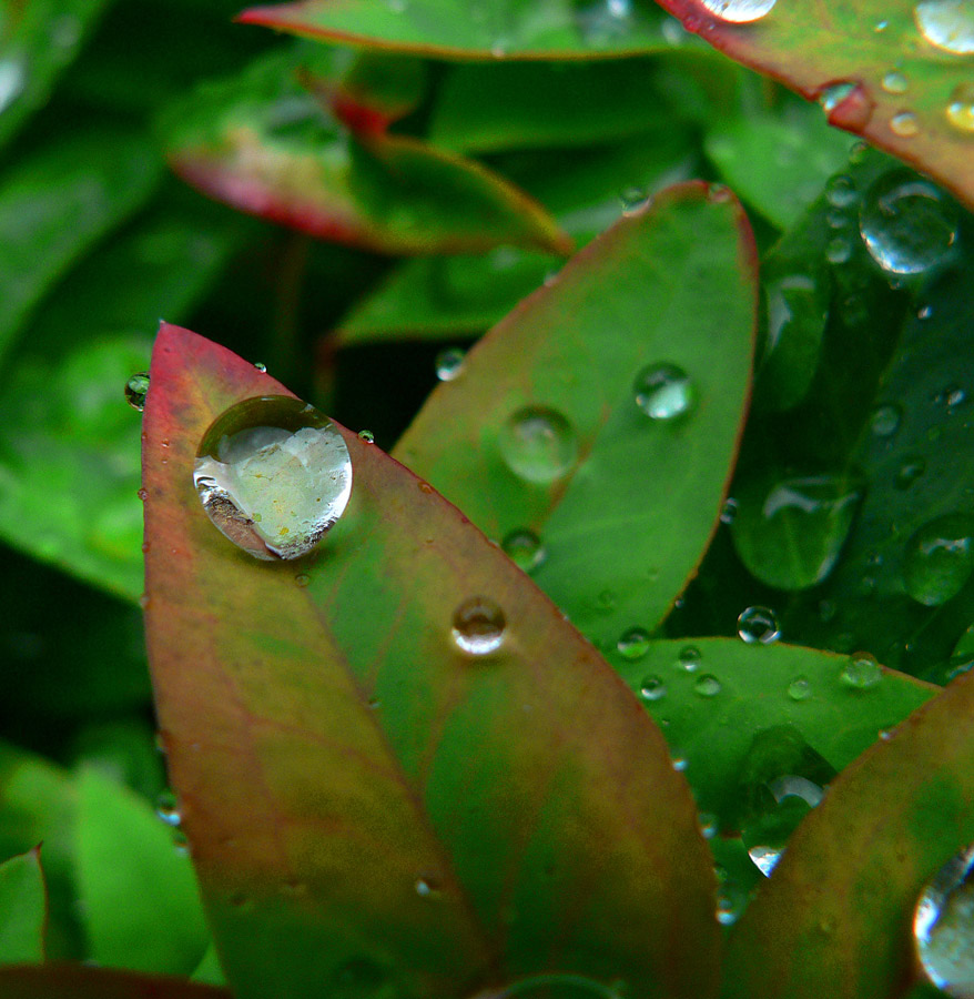 Photographie par gymp93 pour DesignCrowd (Community Contests) | Design #9030064