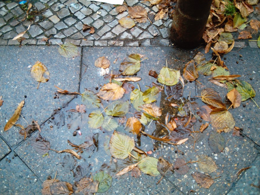 Fotografía por danielakb para DesignCrowd (Community Contests) | Diseño #9030042