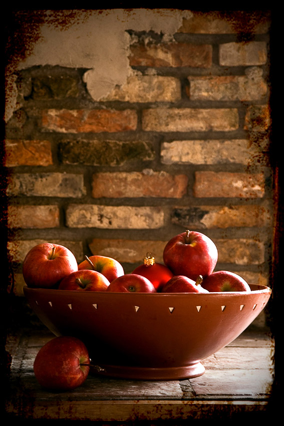 Photography by Marian for DesignCrowd (Community Contests) | Design #9033139