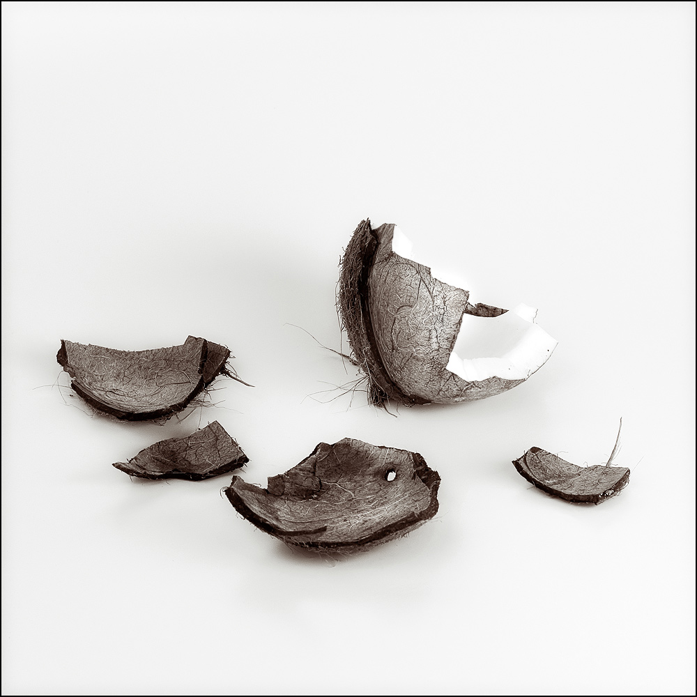 Photography by meerkat2 for DesignCrowd (Community Contests) | Design #9032698