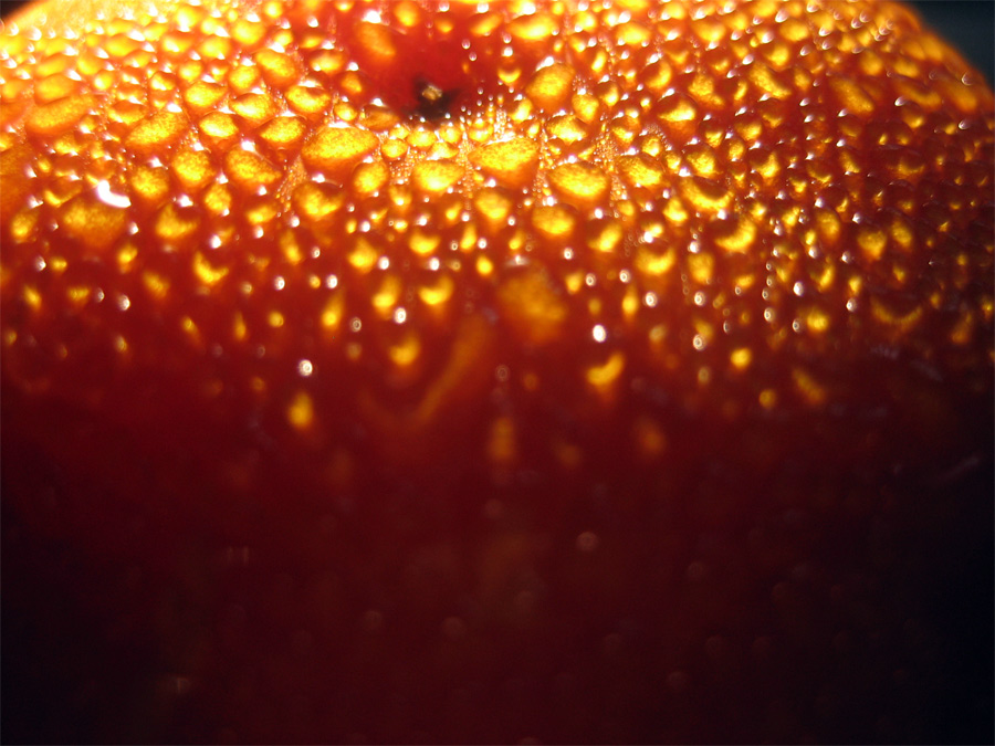 Photography by jamsheed for DesignCrowd (Community Contests) | Design #9028804