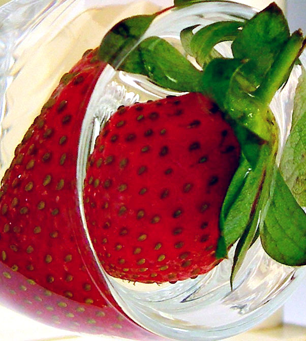 Photography by Isabella2006 for DesignCrowd (Community Contests) | Design #9028821