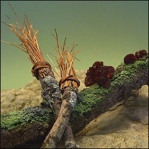 Photography by itsmineillshare for DesignCrowd (Community Contests) | Design #9029895