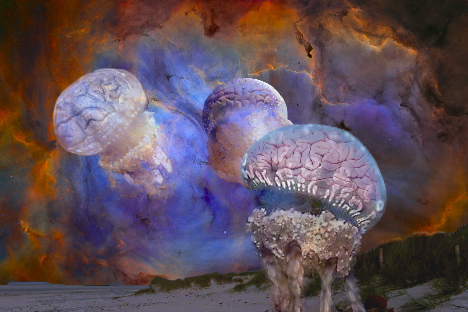 Photoshop Design by fowlball for DesignCrowd (Community Contests) | Design #9029718