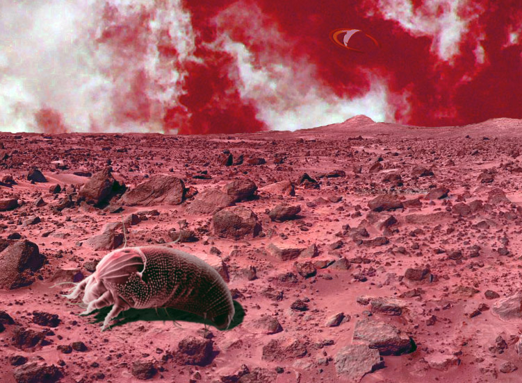 Design Photoshop par SpeedofDark pour DesignCrowd (Community Contests) | Design #9029763