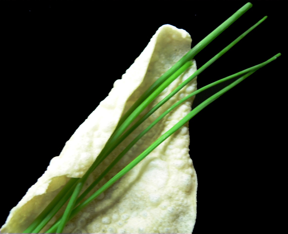 Fotografie von droomluiperd für DesignCrowd (Community Contests) | Design #9028859