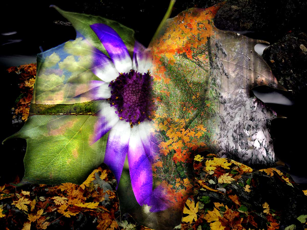 Photoshop Design by CygnusX1 for DesignCrowd (Community Contests) | Design #9035249