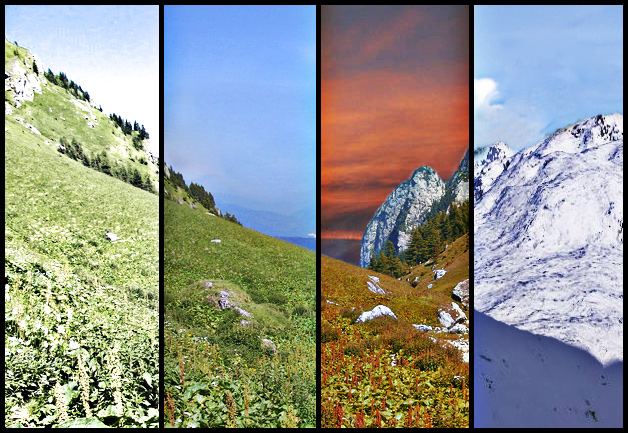 Photoshop Design by Saddy10 for DesignCrowd (Community Contests) | Design #9035246