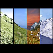 Photoshop Design by Saddy10