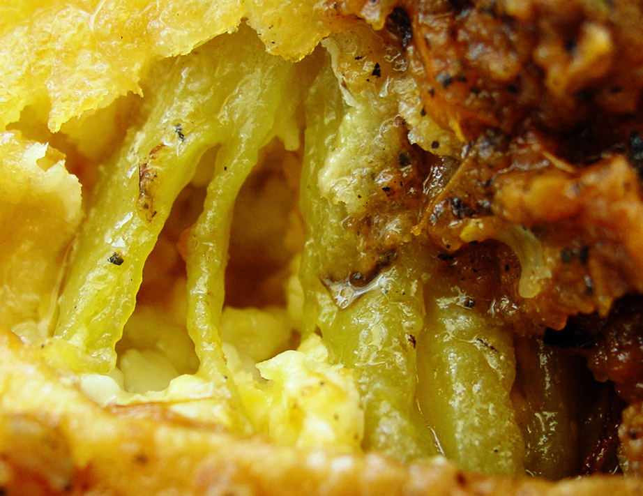 Photography by mysterio for DesignCrowd (Community Contests) | Design #9028851