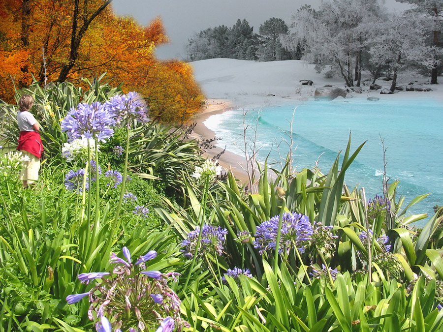 Design Photoshop par LicenBellita pour DesignCrowd (Community Contests) | Design #9035279