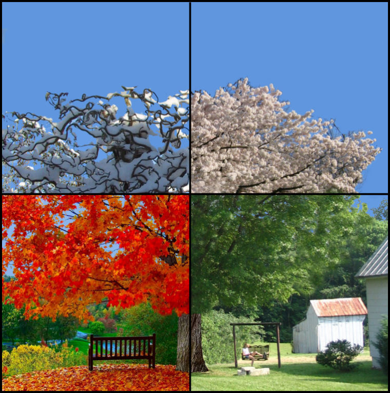 Photoshop Design by NatashaP for DesignCrowd (Community Contests) | Design #9035274