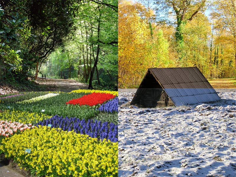 Photoshop Design by primadonna9396 for DesignCrowd (Community Contests) | Design #9035261