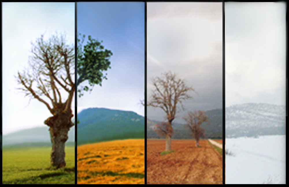 Photoshop Design by zynnya for DesignCrowd (Community Contests) | Design #9035253