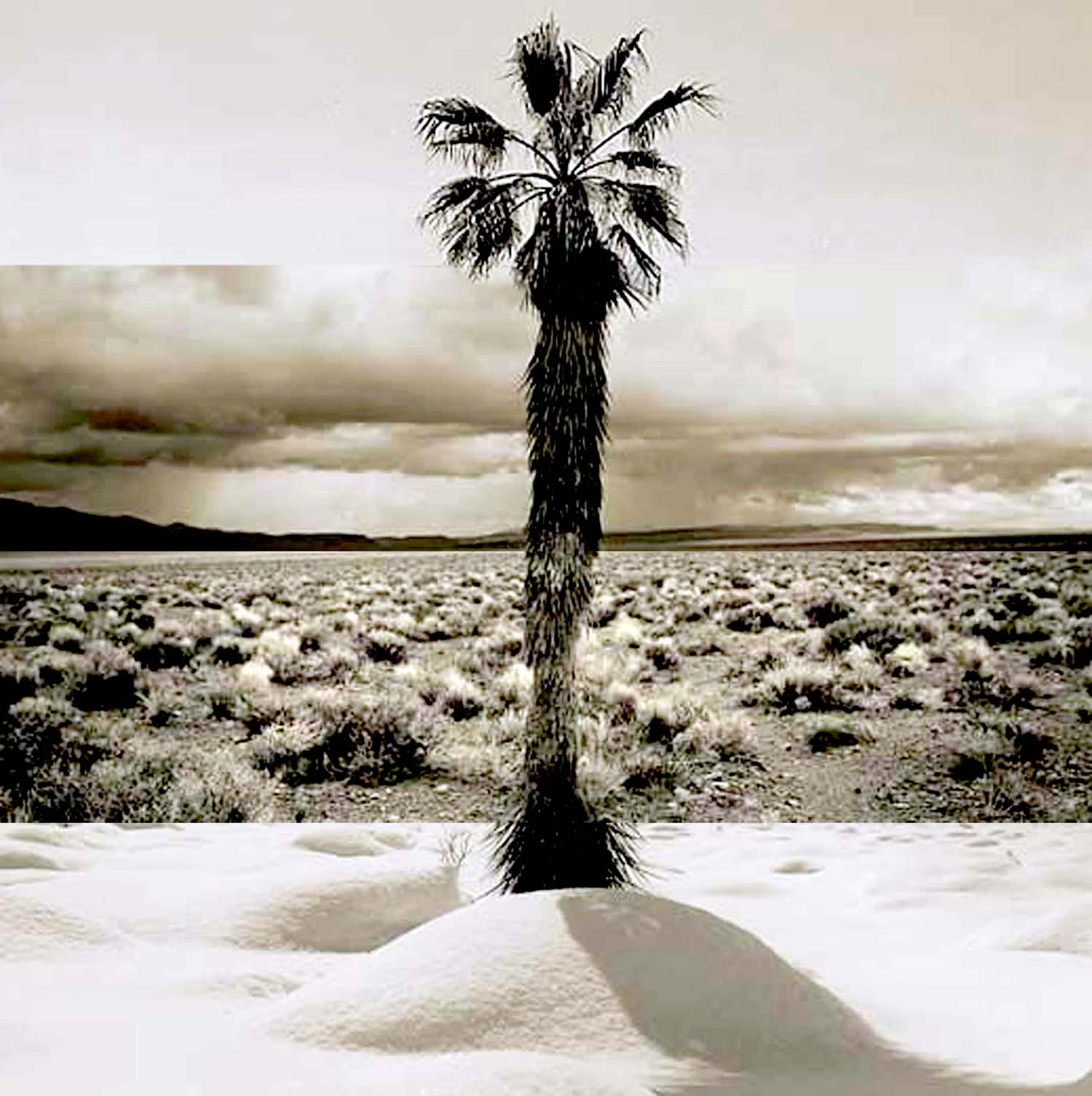 Photoshop Design by zerobriant for DesignCrowd (Community Contests) | Design #9035305