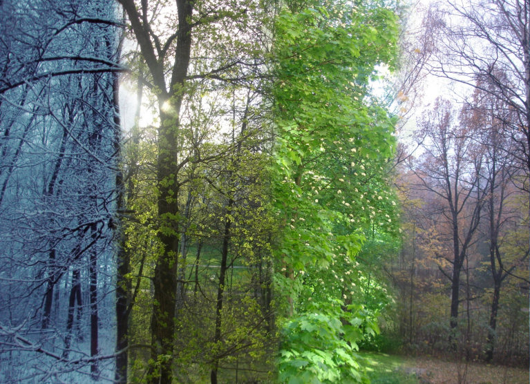 Photoshop-Design von Hobbit90 für DesignCrowd (Community Contests) | Design #9035301