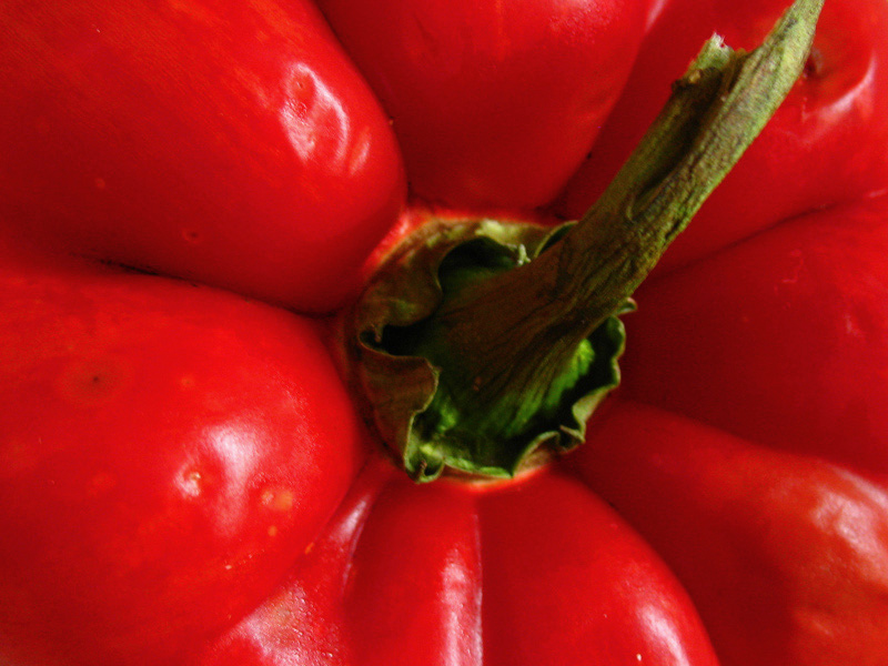 Photography by jersalv1 for DesignCrowd (Community Contests) | Design #9028907