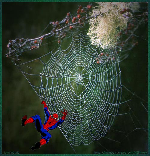 Diseño de Photoshop por brickiematt para DesignCrowd (Community Contests) | Diseño #9024763