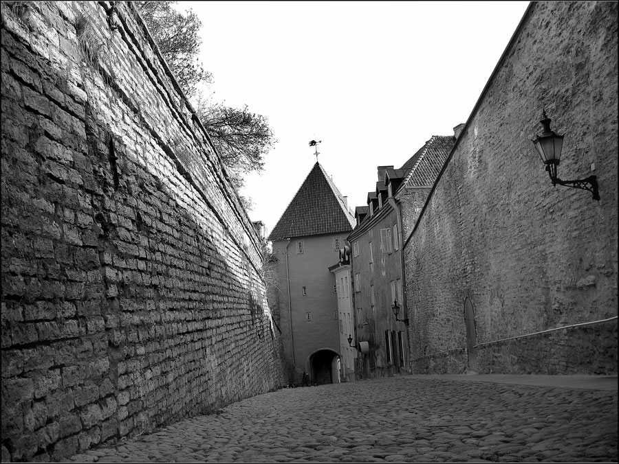 Photography by Limitchik for DesignCrowd (Community Contests) | Design #9029842