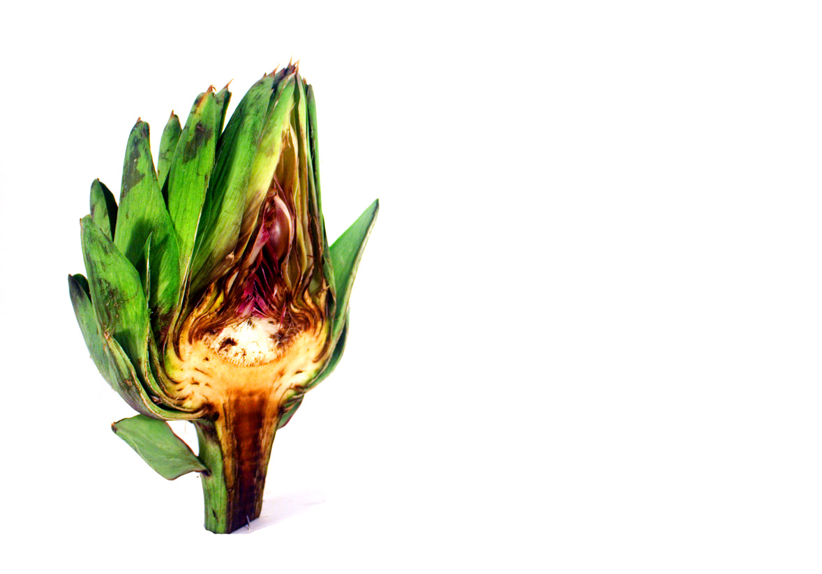 Photography by DoubleDizzle for DesignCrowd (Community Contests) | Design #9028932