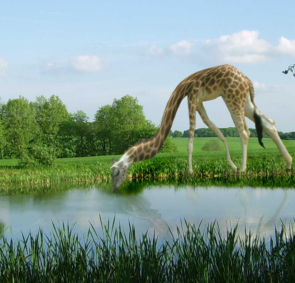 Photoshop Design by starrytru for DesignCrowd (Community Contests) | Design #9026291