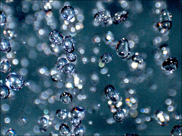 Fotografie von NiyaFlow für DesignCrowd (Community Contests) | Design #9023811