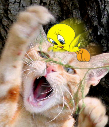 Photoshop Design by ThreeProngs for DesignCrowd (Community Contests) | Design #9024930