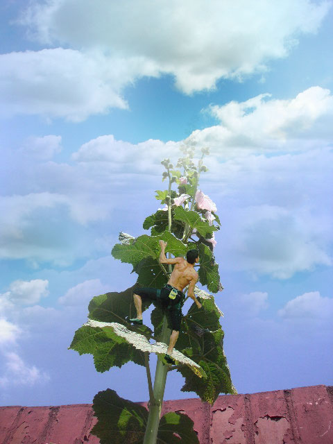 Photoshop Design by bananah22 for DesignCrowd (Community Contests) | Design #9030257