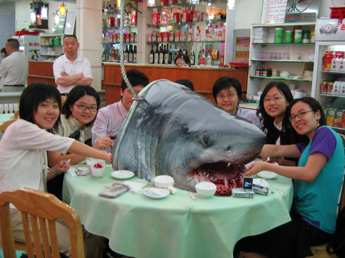 Design Photoshop par CRAZYLEGGSROGERS pour DesignCrowd (Community Contests) | Design #9028611