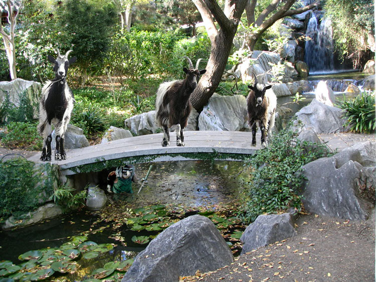 Design Photoshop par DebCam pour DesignCrowd (Community Contests) | Design #9030254