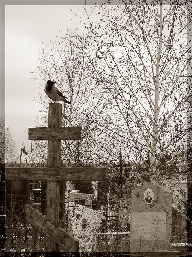 Photography by Limitchik for DesignCrowd (Community Contests) | Design #9029084