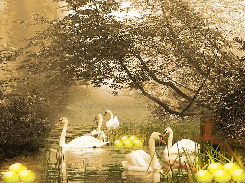 Photoshop Design by lingam for DesignCrowd (Community Contests) | Design #9030337